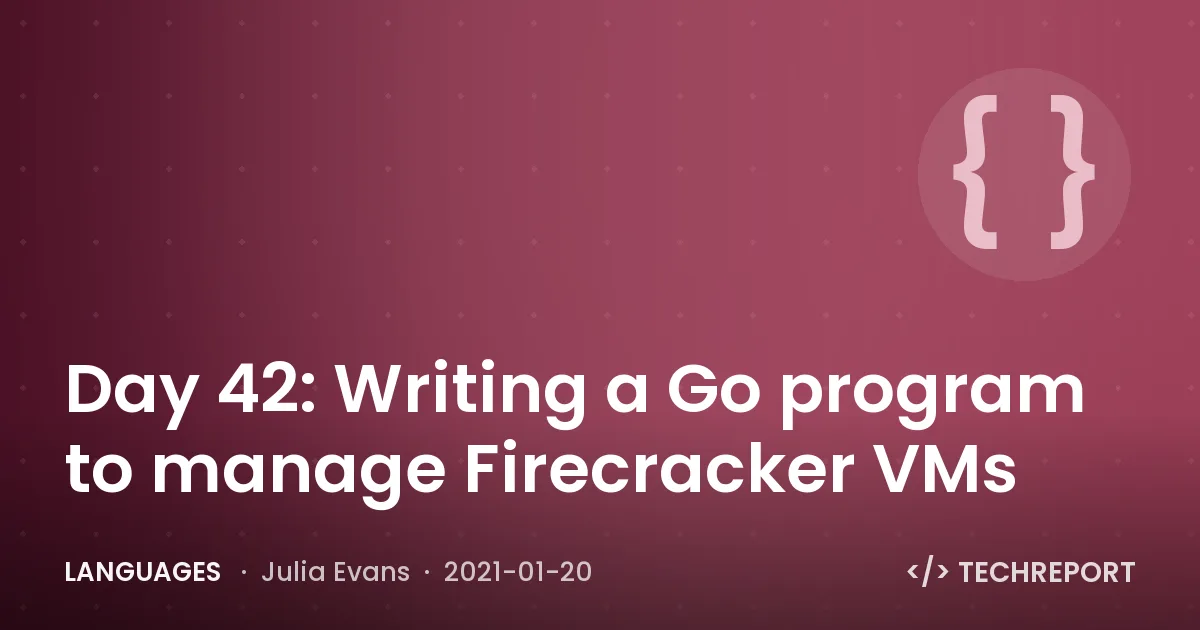 Languages — Day 42: Writing a Go program to manage Firecracker VMs