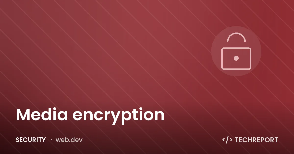 Media encryption