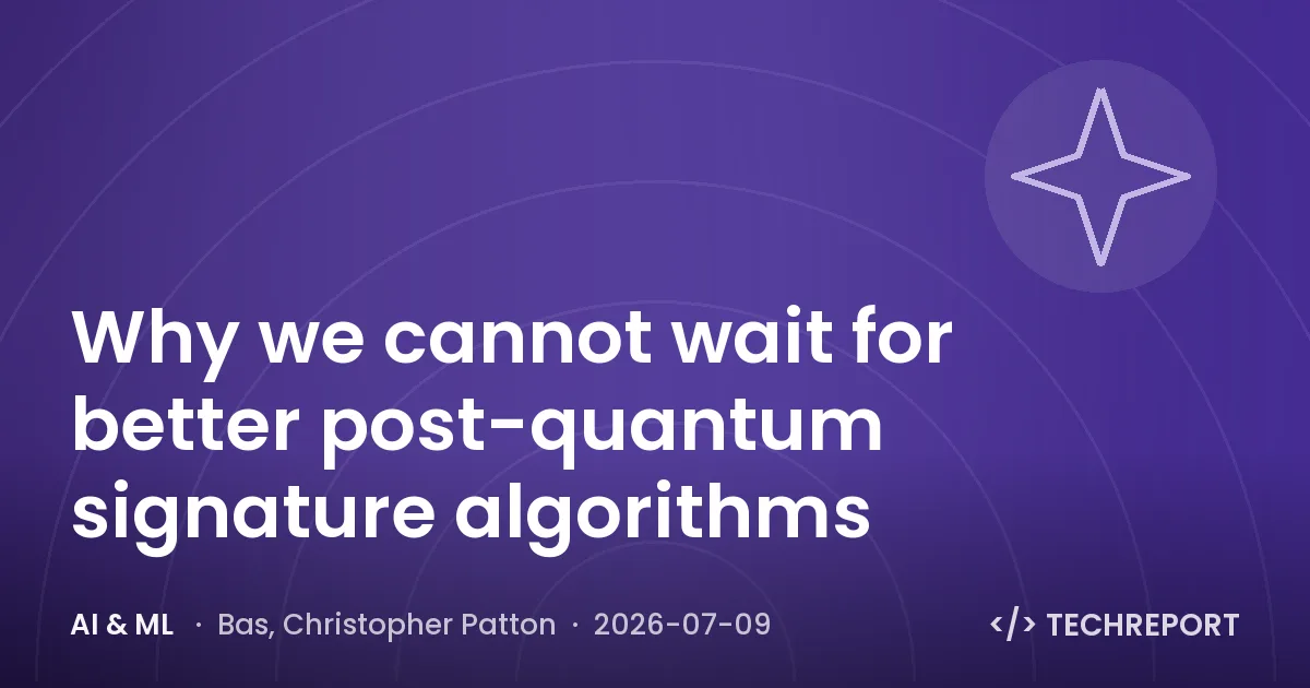 Why we cannot wait for better post-quantum signature algorithms