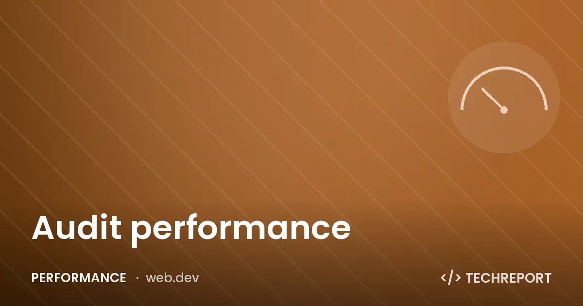 Audit performance